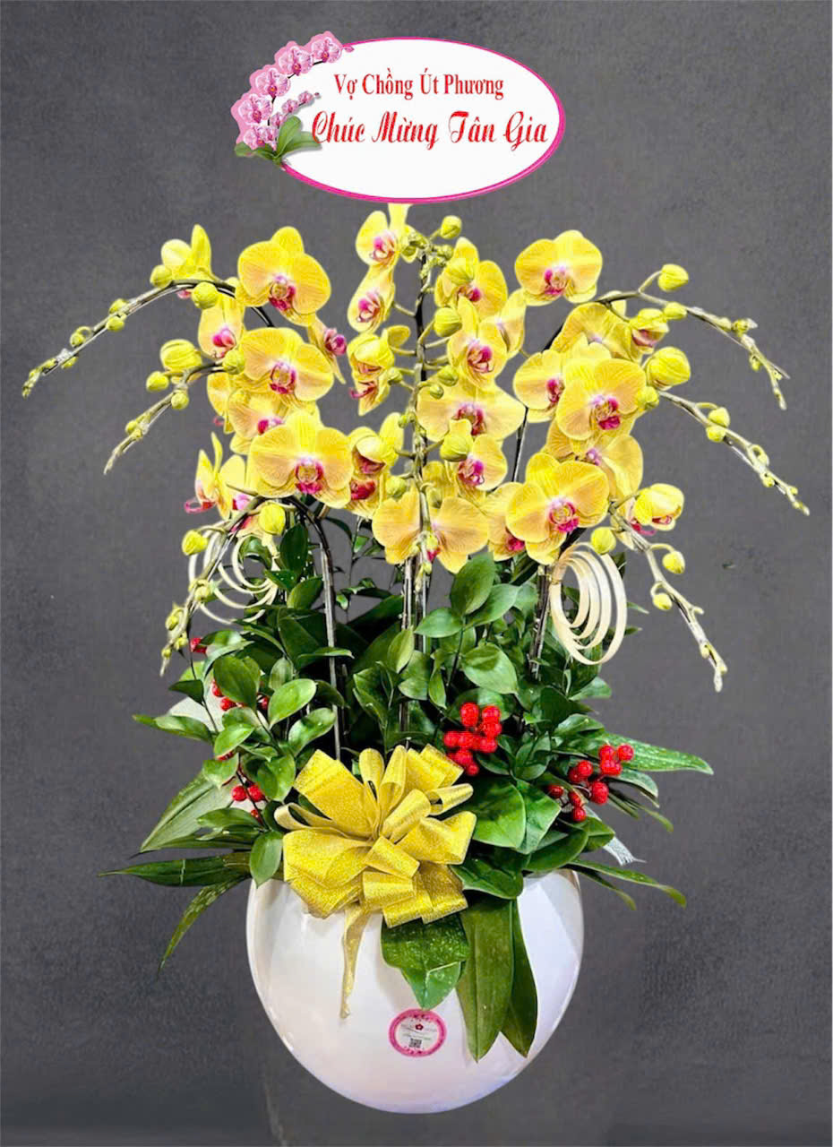 Chậu hoa lan - 05