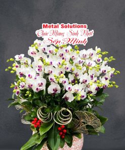 Chậu hoa lan - 01