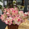 test1