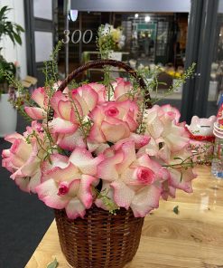 test1